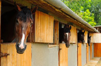 free Gilwell Park stable construction quotes